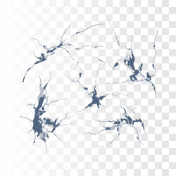 texture element cracks 5 template for design vector image