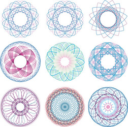 Intricate Rosettes & Guilloche Patterns vector image