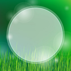 Summer background with green grass Royalty Free Vector Image
