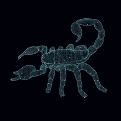 wireframe of a polygonal scorpion with glowing vector image