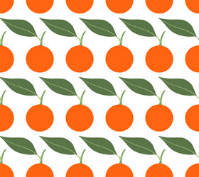 seamless pattern with mandarins vector