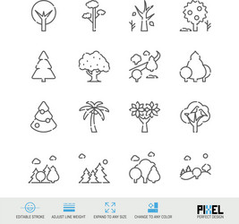 line icon set trees related linear icons forest vector image