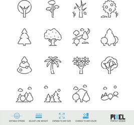 Line icon set trees related linear icons forest vector