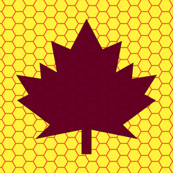 Maple leaf flat modern web button and space vector