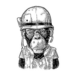 Monkey in Soldier Helmet Vector Image
