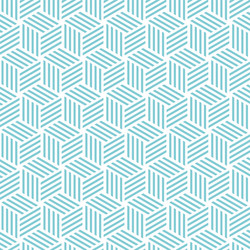 Geometric Cube Stripe Pattern vector image