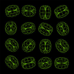 wireframe lined shapes perspective mesh 3d grid vector image