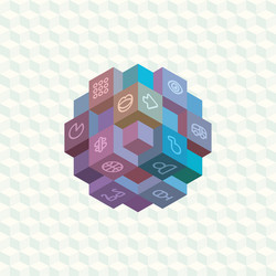 isometric projection infographic array of cubes vector image