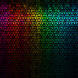 color squama texture abstract scale pattern vector image