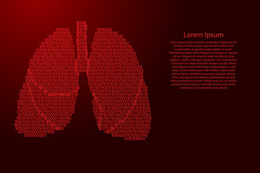 Lungs human anatomy respiratory organ abstract vector