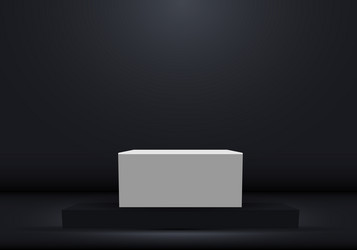 3d realistic white pedestal rectangular box Vector Image