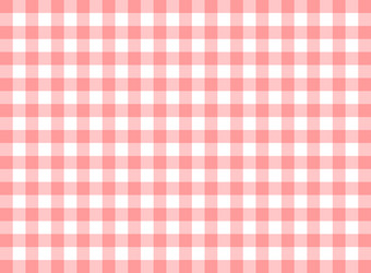 gingham lines pattern in flat style geometric vector image