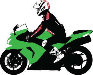 biker on motorcycle travels Vector Image