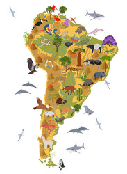 South america flora and fauna map flat elements vector