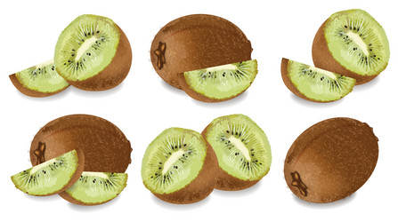 Kiwi set realistic isolated on white vector