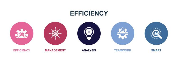 development management analysis teamwork smart vector image
