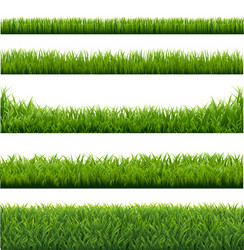 Green grass set isolated transparent background Vector Image