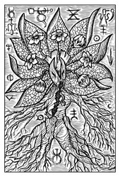 Mandrake or mandragora engraved fantasy vector