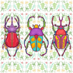 set of 3 colorful beetle bugs insect vector image