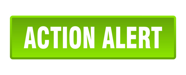 action alert button square green vector image