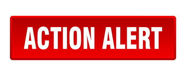 action alert button square red push vector image