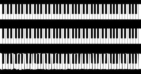 design features piano keyboard visuals vector image