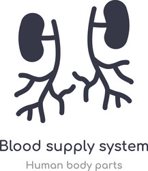 blood supply system outline icon isolated line vector