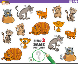 find two same cat or kitten characters game vector image
