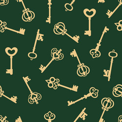 seamless pattern with keys vector image
