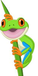 Cartoon Frog on Leaf Vector Image