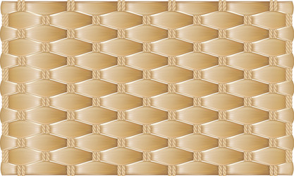 Wicker Texture Pattern vector image