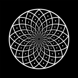 abstract geometric circle pattern round design vector image