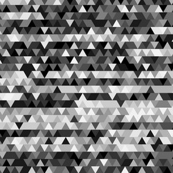 Geometric Black and White Pattern vector image