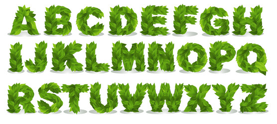 Leafy Alphabet Font Set vector image