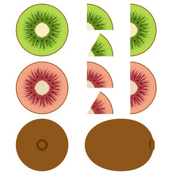 set of with green and red kiwi vector image