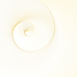 Golden Spiral Shell Pattern vector image