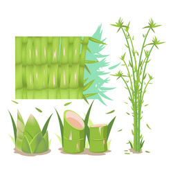 Bamboo tree isolate collection set vector