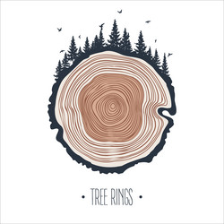 round tree trunk cut with trees forest and birds vector image