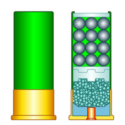 Shotgun Shell Cross-Section vector image