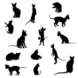 Cat Silhouettes - Diverse Poses Vector Image