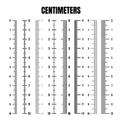 vertical centimeter scale for measuring length vector image