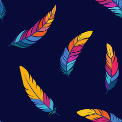 feathers seamless color pattern vector image