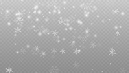 Realistic falling snow Royalty Free Vector Image