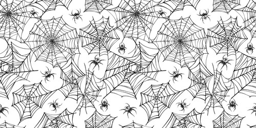 Spooky Cobweb Pattern vector image