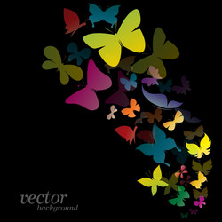 butterfly design vector