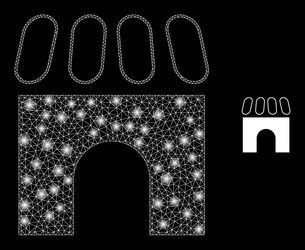 mesh web building with bright constellation vector image