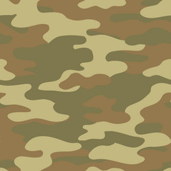 Camouflage pattern background seamless Royalty Free Vector