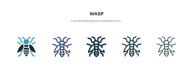 wasp icon in different style two colored vector image
