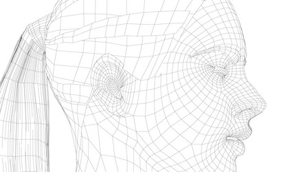 wireframe portrait a young beautiful girl vector