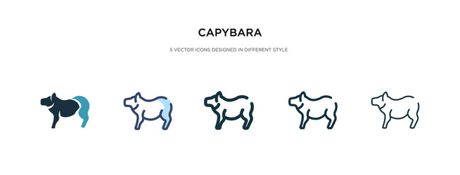 capybara icon in different style two colored vector image